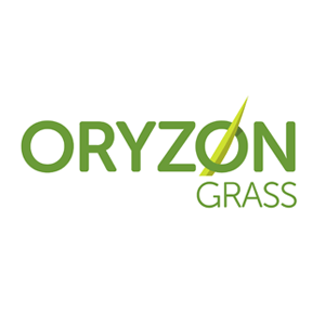 Oryzon Grass