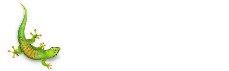 Bostik