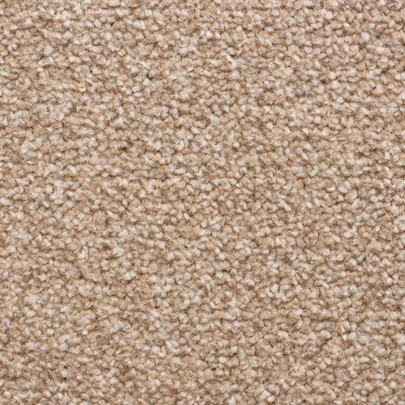 Cat Claw on Cut Pile Carpet