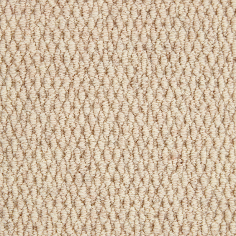 Dark Patterned Carpet in Home