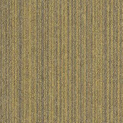 Tessera Layout & Outline Carpet Tiles - Macaroon