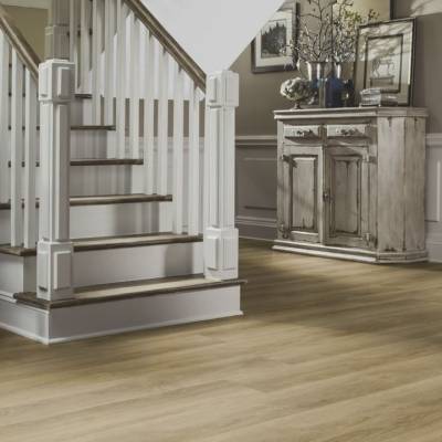 Lifestyle Floors Palace Dryback LVT Timber Planks (1517mm x 228mm) - Stirling Oak