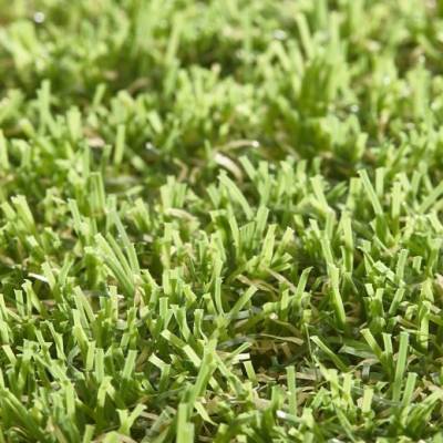 Lano Easy Lawn Anica Grass