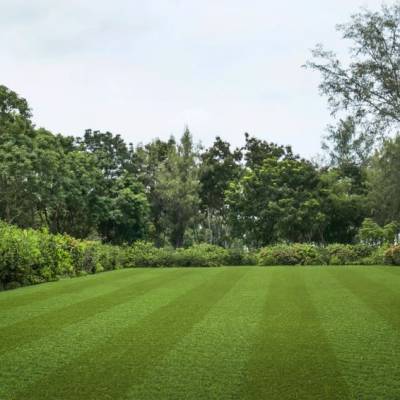 Lano Pro Lawn Multi Lane Lux Grass (4m)