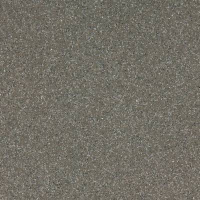 Altro Walkway 20 Commercial Safety Vinyl - Tundra