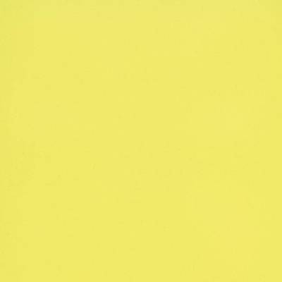 Eternal Colour Vinyl - Lemon