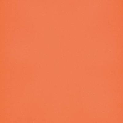 Eternal Colour Vinyl - Papaya