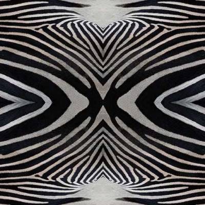 Flotex Vision Image (2m Wide) - Zebra