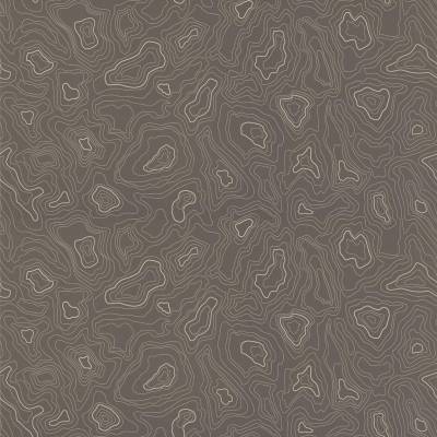 Sarlon Graphic Vinyl - Grey Topography