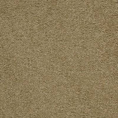 JHS Hospi Charm Commercial Carpet - Gentle Olive