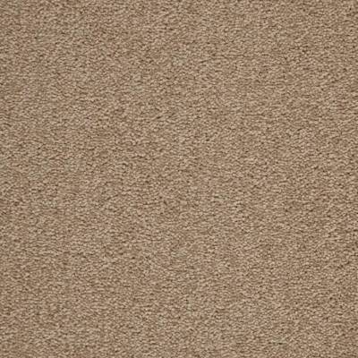 JHS Hospi Charm Commercial Carpet - Biscotti