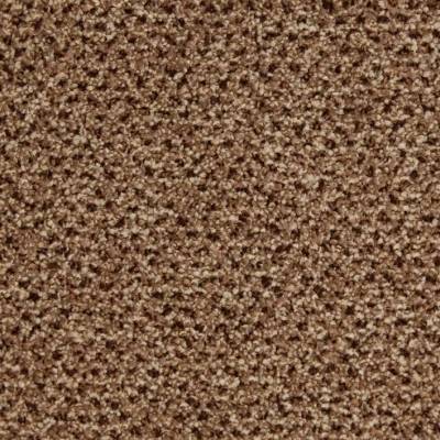 JHS Hospi Style Plus Commercial Carpet - Granola
