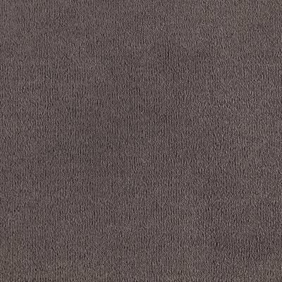 SmartStrand Celeste - Forever Clean Carpet - Lavender