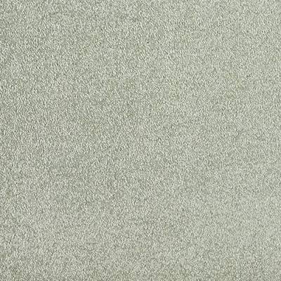 Abingdon Flooring Stainfree Aristocat Carpet - Fern Green