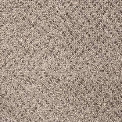 Lano Scala Classic Commercial Carpet - Granite