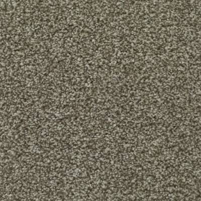 Kingsmead Devotion Silver Bleach Cleanable Carpet - Mushroom