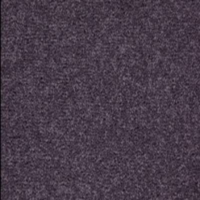 Kingsmead New Ayrshire 80/20 Wool 40oz Carpet - Thistle