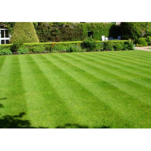 Lano Pro Lawn Multi Lane Lawn Grass (4m)