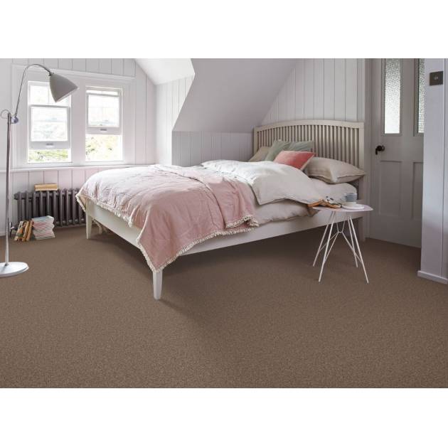 Dublin Twist Clearance Carpet 50 Off Special offer Just £9.99 per m2