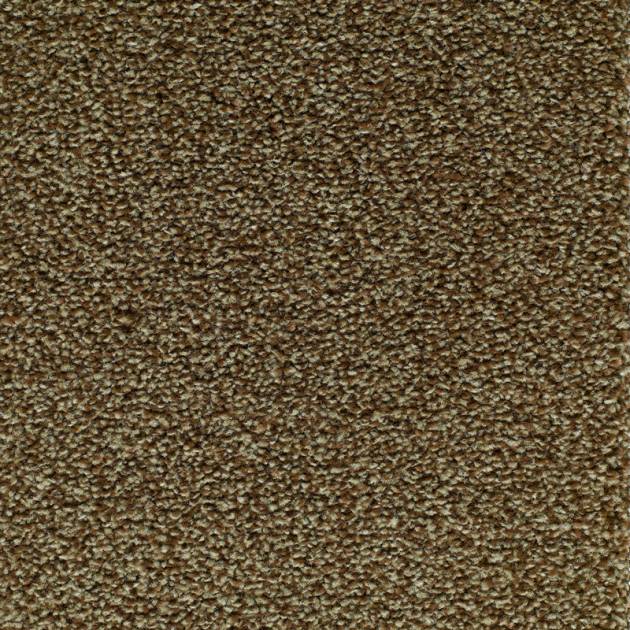 Lifestyle Floors Canterbury Carpet SPECIAL OFFER