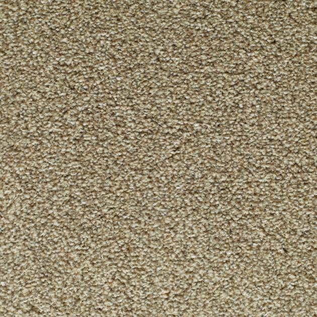 Lifestyle Floors Canterbury Carpet SPECIAL OFFER
