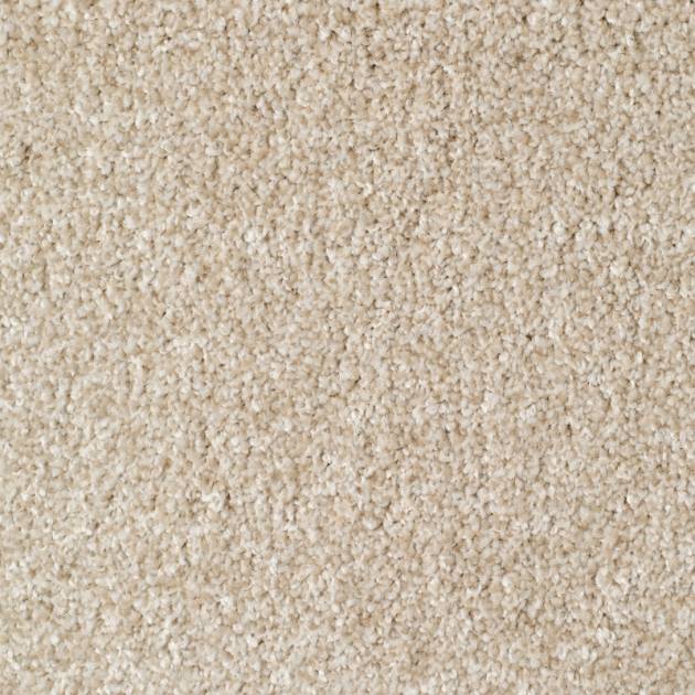 Everyroom Mullion Carpet | SPECIAL OFFER