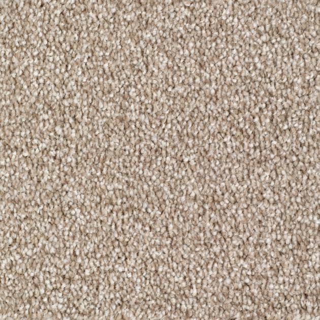 Everyroom Rye Carpet