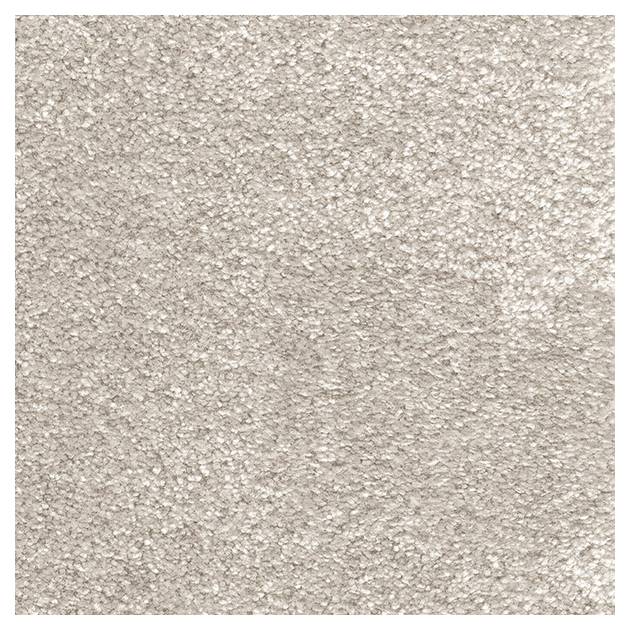 Carpet remnants - Appleton