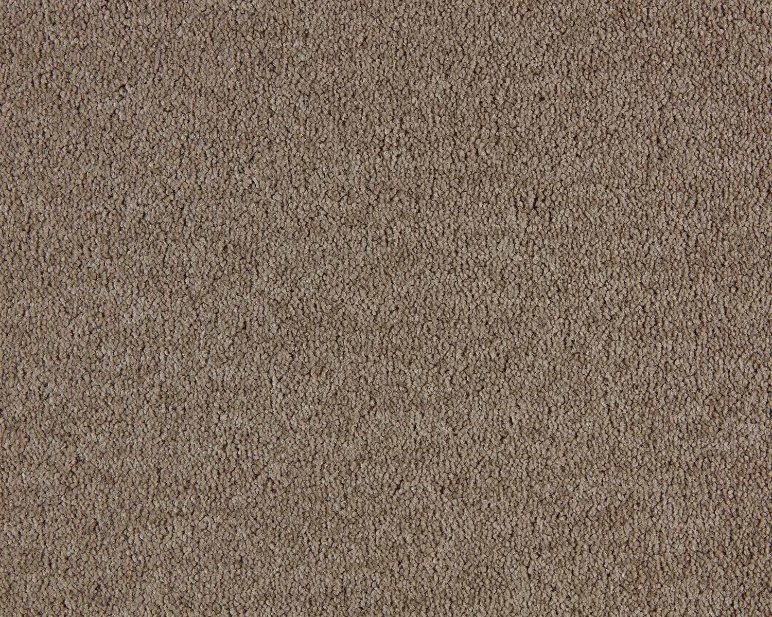 Lano Freedom Carpet NEW LOWER PRICE