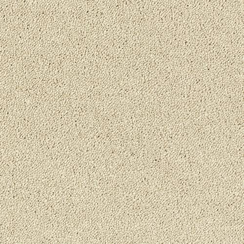 Abingdon Flooring Stainfree Sophisticat Carpet | SPECIAL OFFER