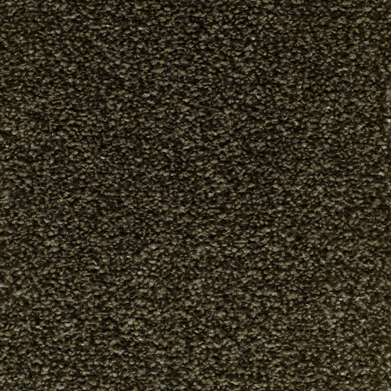 Lifestyle Floors Canterbury Carpet SPECIAL OFFER