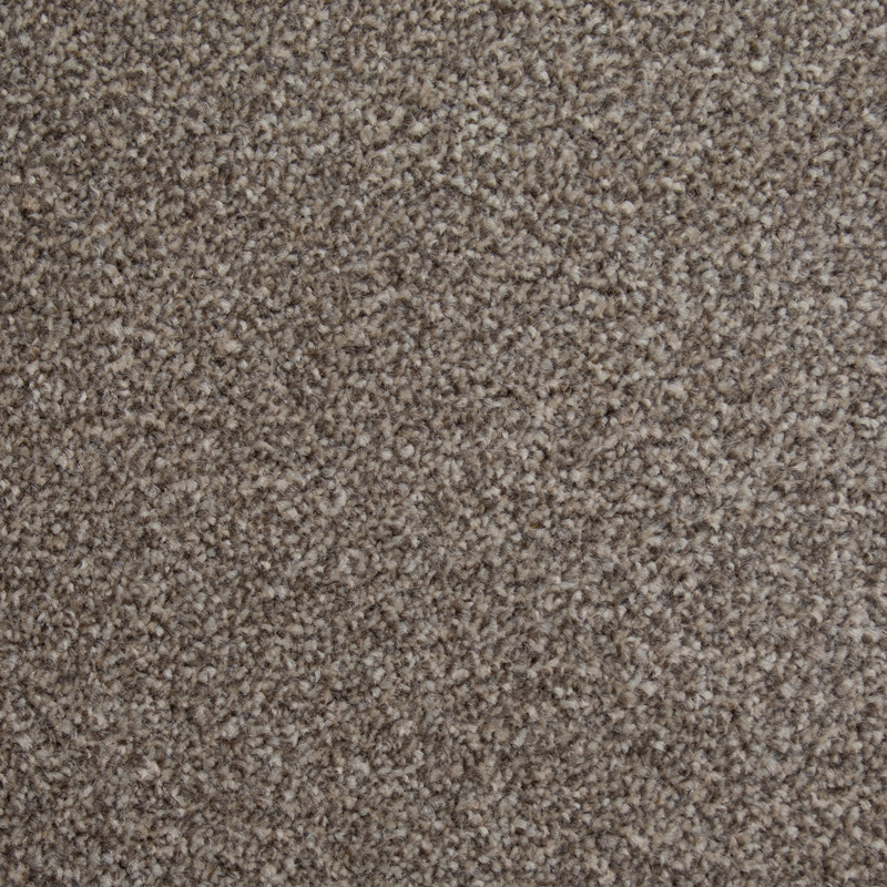 Lifestyle Floors Canterbury Extra Carpet SPECIAL OFFER