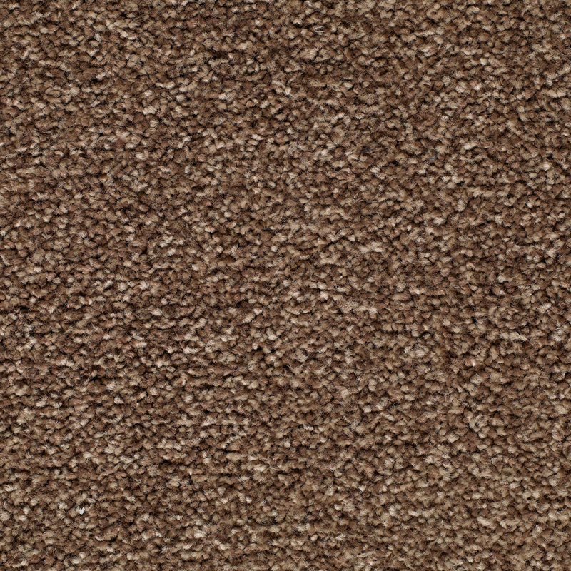 Lifestyle Floors Conquest Saxony Carpet | SPECIAL OFFER