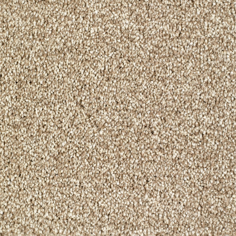 Everyroom Barcombe Carpet | SPECIAL OFFER