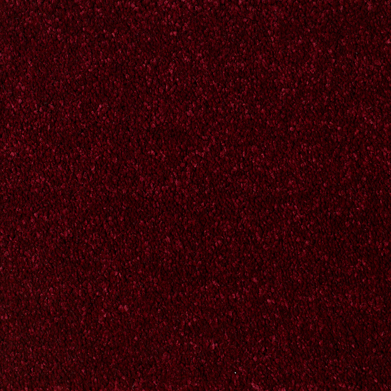 Everyroom Eastbourne Luxury Carpet SPECIAL OFFER