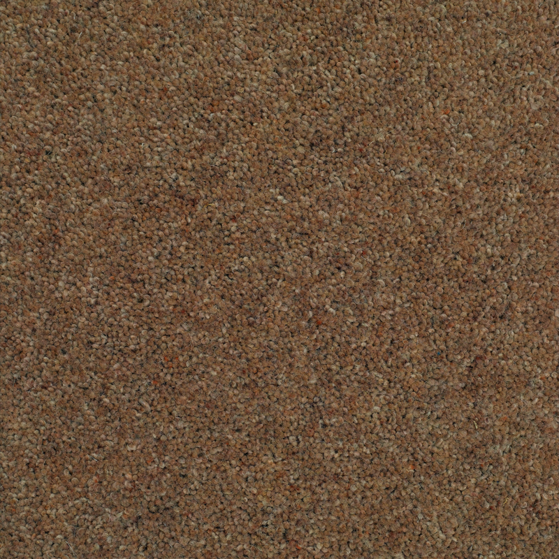 Lifestyle Summit Twist Elite Carpet SPECIAL OFFER